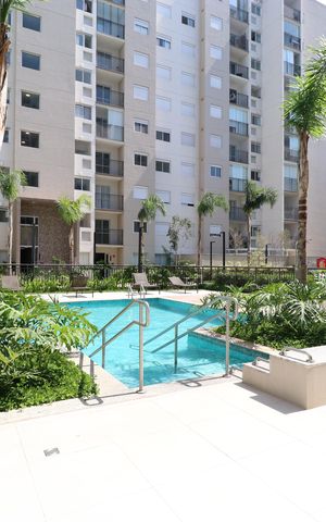 Apartamento à venda com 62m², 3 quartos e 1 vagaÁrea comum - Piscina