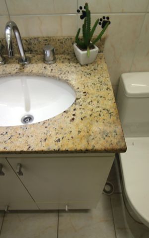 Apartamento à venda com 80m², 2 quartos e 1 vagaBanheiro da Suíte