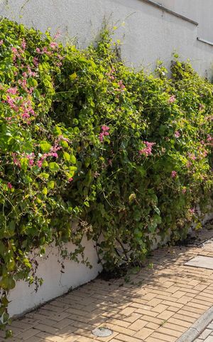 Casa de condomínio à venda com 80m², 2 quartos e 2 vagasÁREA VERDE