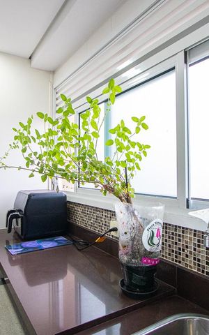Apartamento à venda com 201m², 4 quartos e 4 vagas Apartamento à venda com 201m², 4 quartos e 4 vagasÁrea de serviço