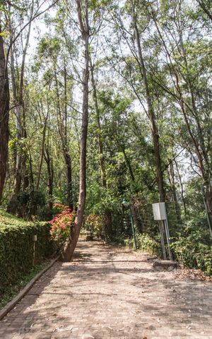 Casa de condomínio à venda com 350m², 4 quartos e 4 vagasÁrea comum