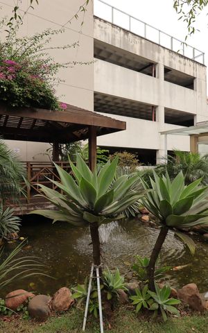 Apartamento para alugar com 91m², 2 quartos e 2 vagasÁrea Comum - Pista de Caminhada