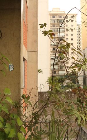 Apartamento à venda com 119m², 3 quartos e 1 vagaVaranda