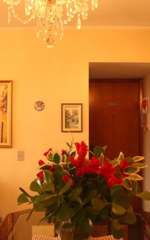 Apartamento à venda com 119m², 3 quartos e 1 vagaSala