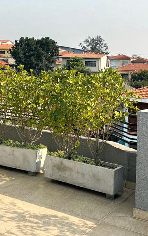 Studio à venda com 37m², 1 quarto e sem vaga Studio à venda com 37m², 1 quarto e sem vagaTerraço