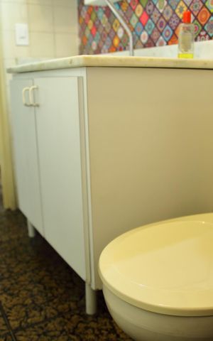 Apartamento à venda com 55m², 2 quartos e 1 vagaBanheiro