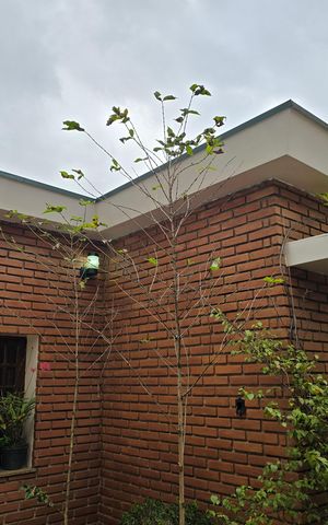 Casa à venda com 278m², 7 quartos e 5 vagasÁrea comum