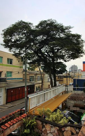 Casa à venda com 220m², 4 quartos e 2 vagasSuíte Vista 