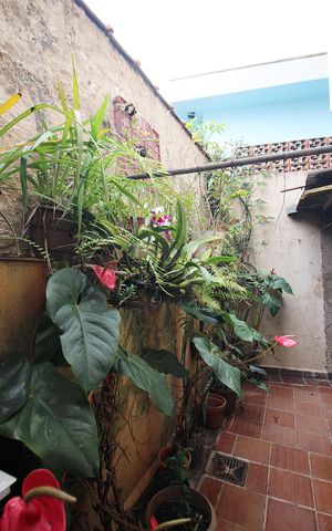 Casa à venda com 220m², 4 quartos e 2 vagasQuintal