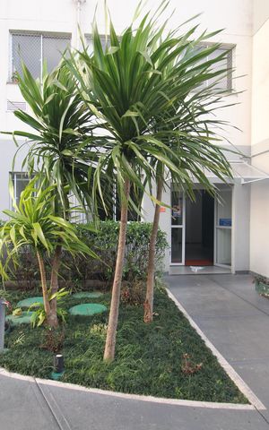 Apartamento à venda com 42m², 2 quartos e sem vagaÁrea Comum
