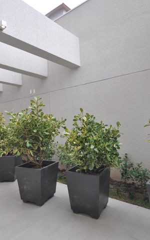 Apartamento à venda com 40m², 2 quartos e sem vagaÁrea comum