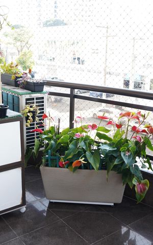 Apartamento à venda com 168m², 3 quartos e 3 vagasSacada