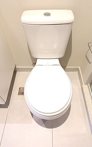Apartamento à venda com 66m², 3 quartos e 1 vagaBanheiro social