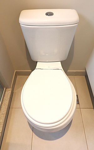 Apartamento à venda com 66m², 3 quartos e 1 vagaBanheiro da Suíte