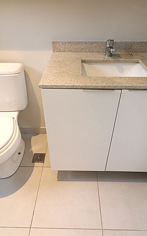 Apartamento à venda com 66m², 3 quartos e 1 vagaBanheiro da Suíte