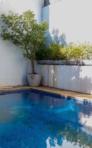 Casa à venda com 444m², 4 quartos e 4 vagas Casa à venda com 444m², 4 quartos e 4 vagasÁrea comum - Piscina