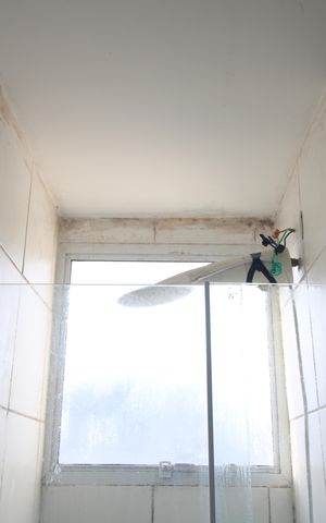 Apartamento para alugar com 44m², 2 quartos e sem vagaBanheiro