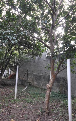 Casa à venda com 160m², 3 quartos e 2 vagasPomar