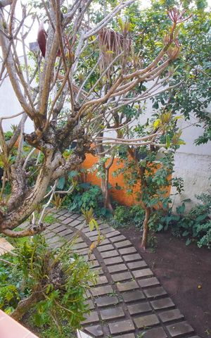 Casa à venda com 252m², 4 quartos e 2 vagasQuarto 3 Vista - Segundo Andar