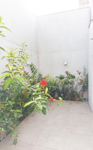 Casa à venda com 470m², 4 quartos e 5 vagas Casa à venda com 470m², 4 quartos e 5 vagasQuintal