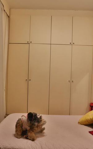 Casa à venda com 105m², 3 quartos e 1 vaga Casa à venda com 105m², 3 quartos e 1 vagaQuarto 1