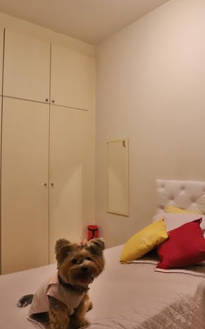 Casa à venda com 105m², 3 quartos e 1 vaga Casa à venda com 105m², 3 quartos e 1 vagaQuarto 1