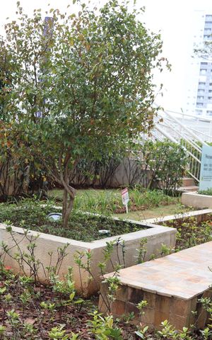 Apartamento para alugar com 54m², 2 quartos e 1 vagaÁrea comum