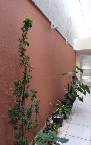 Casa à venda com 276m², 4 quartos e 6 vagasCorredor externo