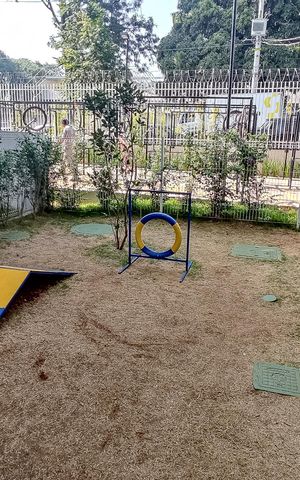 Apartamento para alugar com 69m², 2 quartos e 1 vaga Apartamento para alugar com 69m², 2 quartos e 1 vagaPet Place