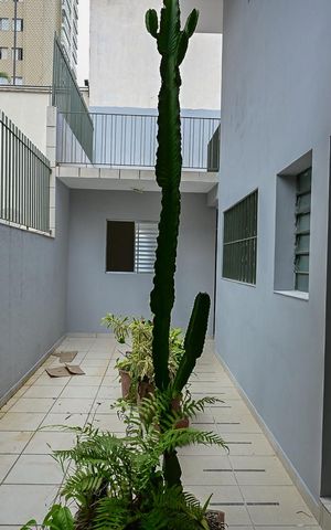 Casa para alugar com 200m², 3 quartos e 3 vagasCorredor Externo