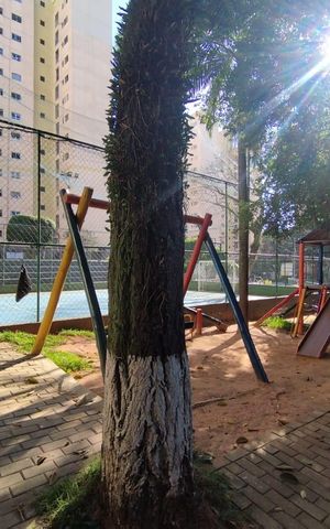 Apartamento à venda com 63m², 3 quartos e 1 vaga Apartamento à venda com 63m², 3 quartos e 1 vagaÁrea comum - Playground