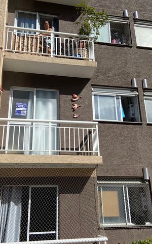 Apartamento à venda com 48m², 2 quartos e 1 vaga Apartamento à venda com 48m², 2 quartos e 1 vagaPlaca