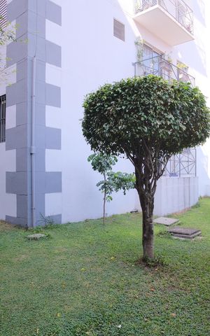 Apartamento à venda com 56m², 2 quartos e 1 vagaÁrea comum