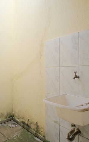 Casa de condomínio à venda com 70m², 2 quartos e 1 vagaÁrea de Serviço