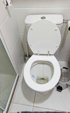 Apartamento à venda com 59m², 2 quartos e 1 vaga Apartamento à venda com 59m², 2 quartos e 1 vagaBanheiro Social