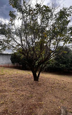 Casa à venda com 295m², 4 quartos e 3 vagasQuintal