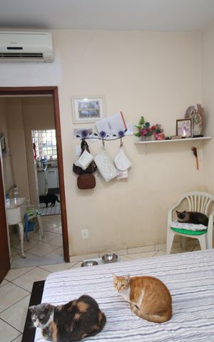 Casa para alugar com 357m², 3 quartos e 1 vagaQuarto 1