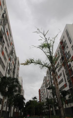 Apartamento para alugar com 150m², 3 quartos e 1 vagaFachada