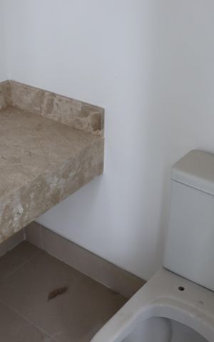 Apartamento à venda com 338m², 4 quartos e 4 vagas Apartamento à venda com 338m², 4 quartos e 4 vagasLavabo