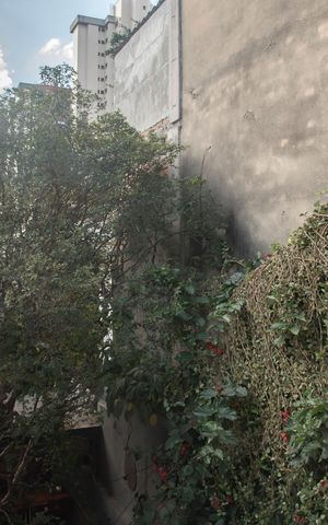 Studio para alugar com 18m², 1 quarto e sem vagaVista da Frente/Varanda