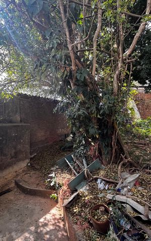 Casa à venda com 327m², 2 quartos e 1 vagaQuintal