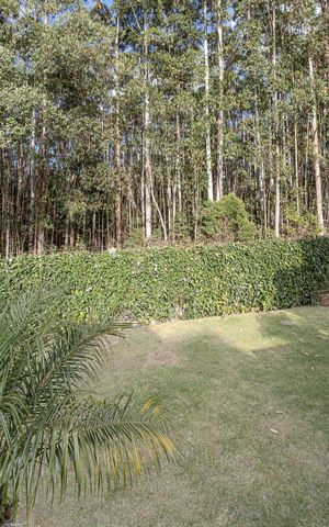 Casa à venda com 600m², 4 quartos e 4 vagasQuadra