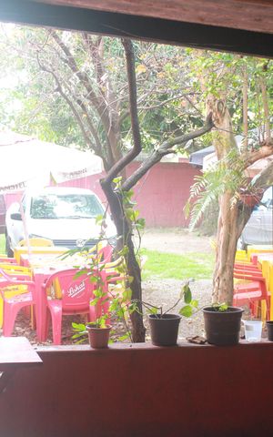 Casa à venda com 880m², 1 quarto e 10 vagasQuintal