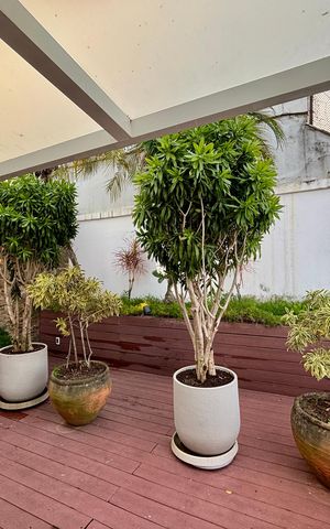 Apartamento à venda com 415m², 4 quartos e 3 vagas Apartamento à venda com 415m², 4 quartos e 3 vagasVaranda da Sala 2