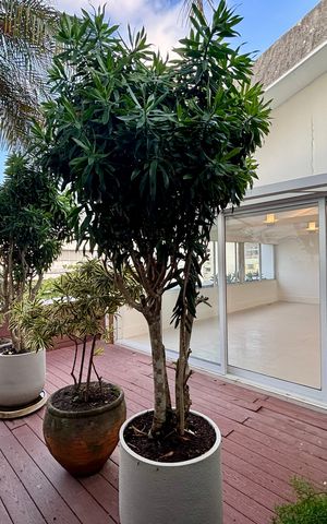 Apartamento à venda com 415m², 4 quartos e 3 vagas Apartamento à venda com 415m², 4 quartos e 3 vagasVaranda da Sala 2