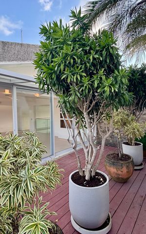 Apartamento à venda com 415m², 4 quartos e 3 vagas Apartamento à venda com 415m², 4 quartos e 3 vagasVaranda da Sala 2