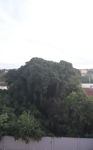 Apartamento à venda com 71m², 2 quartos e 1 vagaVista Quarto 01