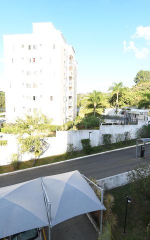 Apartamento para alugar com 78m², 3 quartos e 1 vagaSuíte Vista
