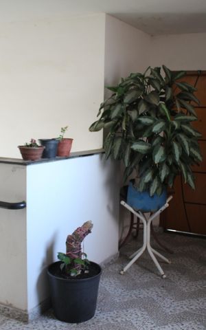 Apartamento à venda com 56m², 3 quartos e sem vagaÁrea comum