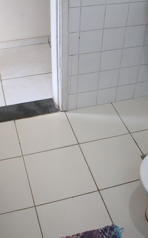 Apartamento à venda com 56m², 3 quartos e sem vagaBanheiro